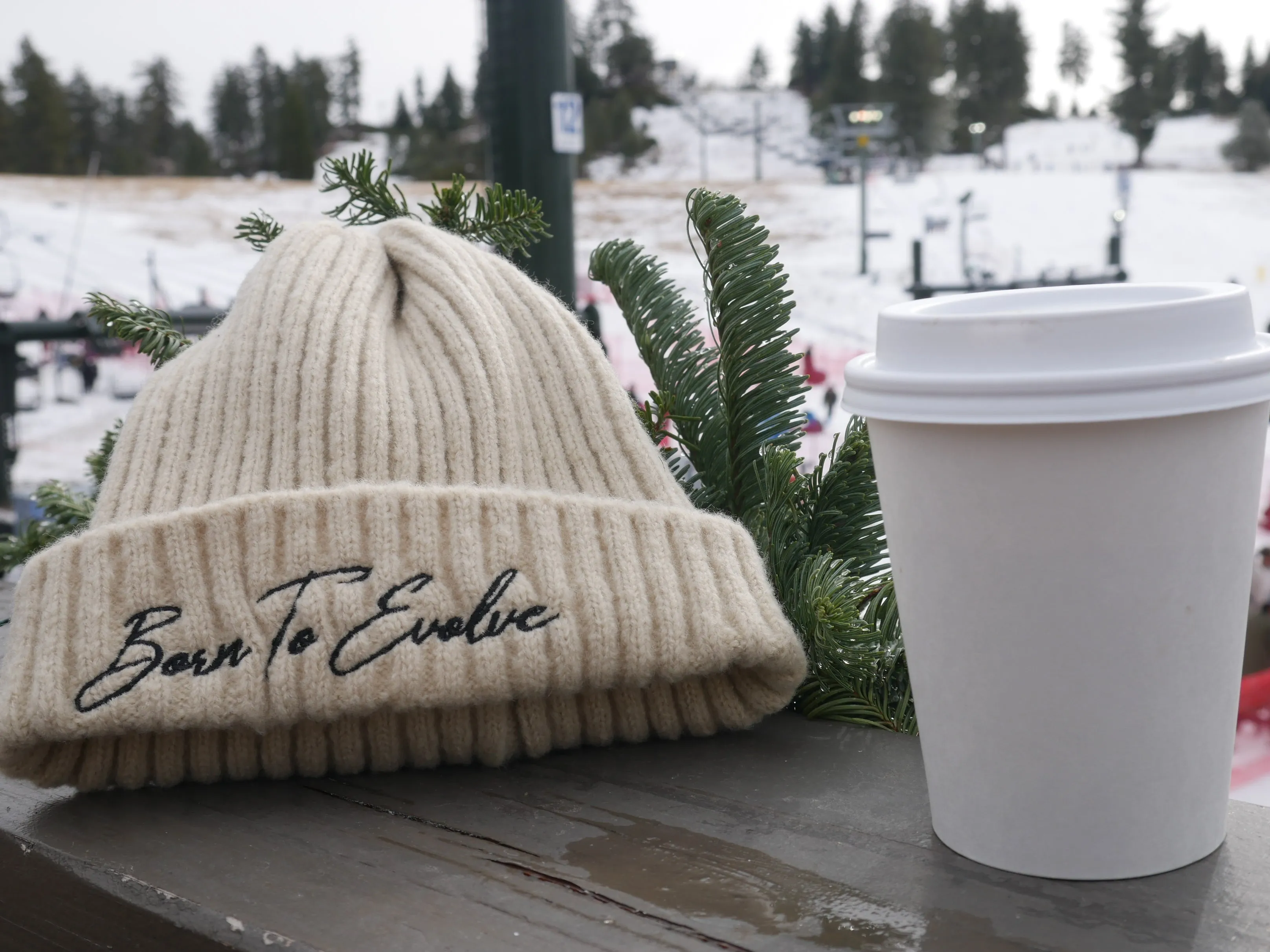 Signature Series Beanies